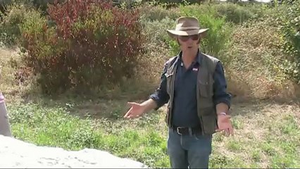 Mégalithes en Vendée - Gérard Benéteau - 2 /3