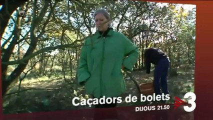 TV3 - Dijous, a les 21.50 a TV3 - "Caçador de Bolets"