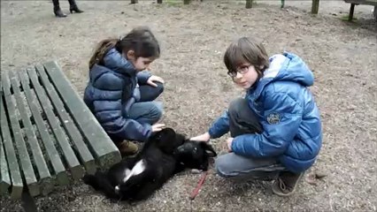 heaven botanique 4 janvier 2013