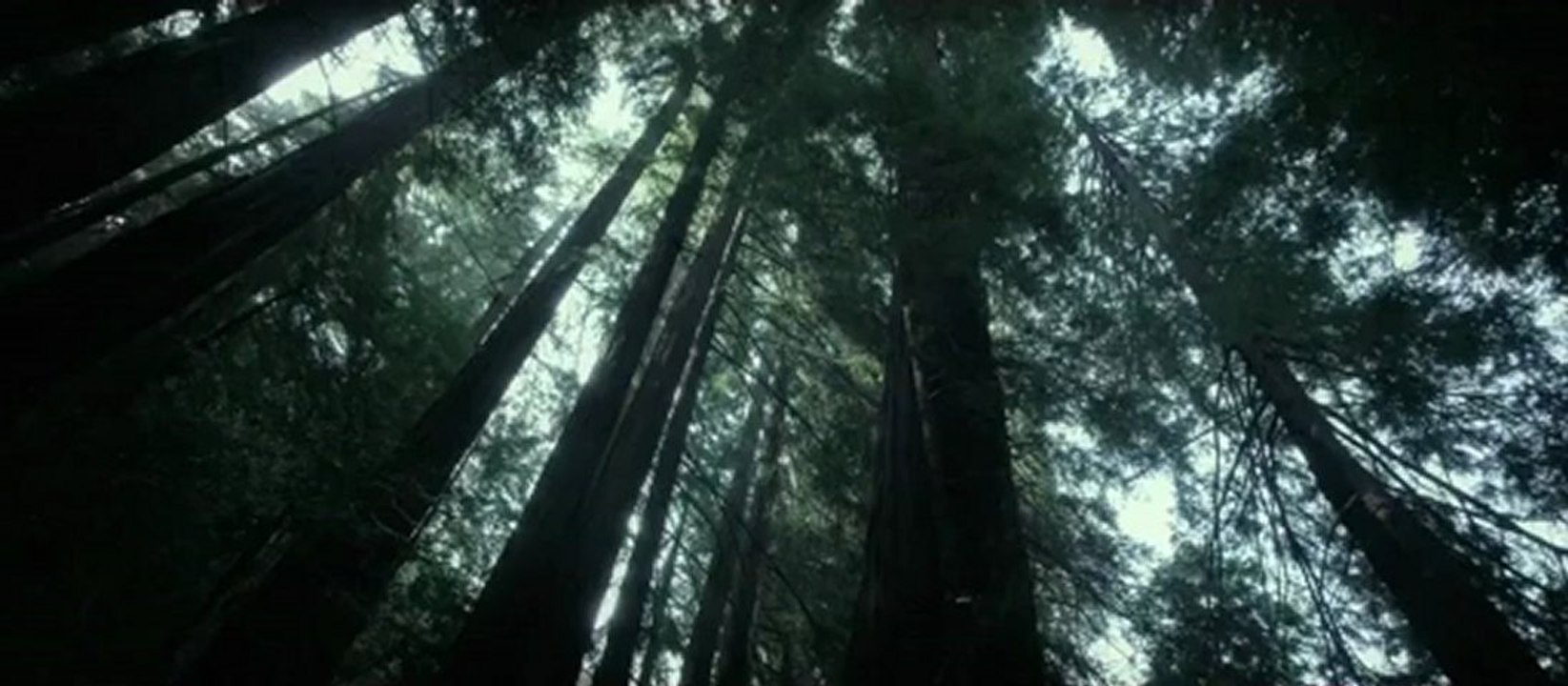 Big Sur