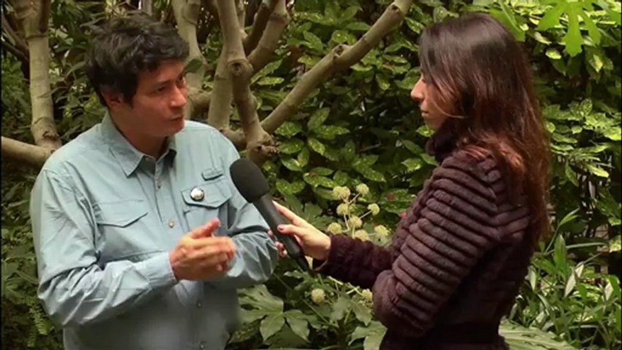 Le labo de l'émission du mag 3D janvier 2013