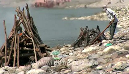 Aghori-haridwar-2.flv