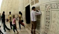 Agra-Taj Mahal-57.flv