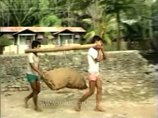 Andaman&Nicobar-2.flv