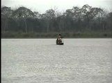 Assam-kaziranga-mdv-883-1- 23.flv