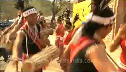 Assam-mizoram-nagaland-HDC-151.flv