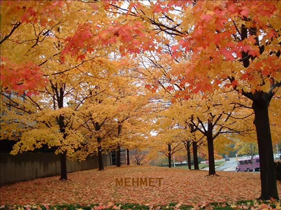 AGLA GÖZÜM AGLA AGLA - YouTube