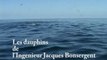 Les dauphins de l'Ingenieur Jacques Bonsergent
