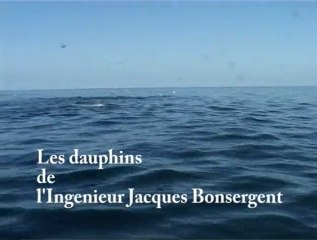 Les dauphins de l'Ingenieur Jacques Bonsergent