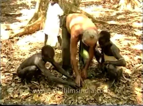 andamans&nicobar-8-5.flv