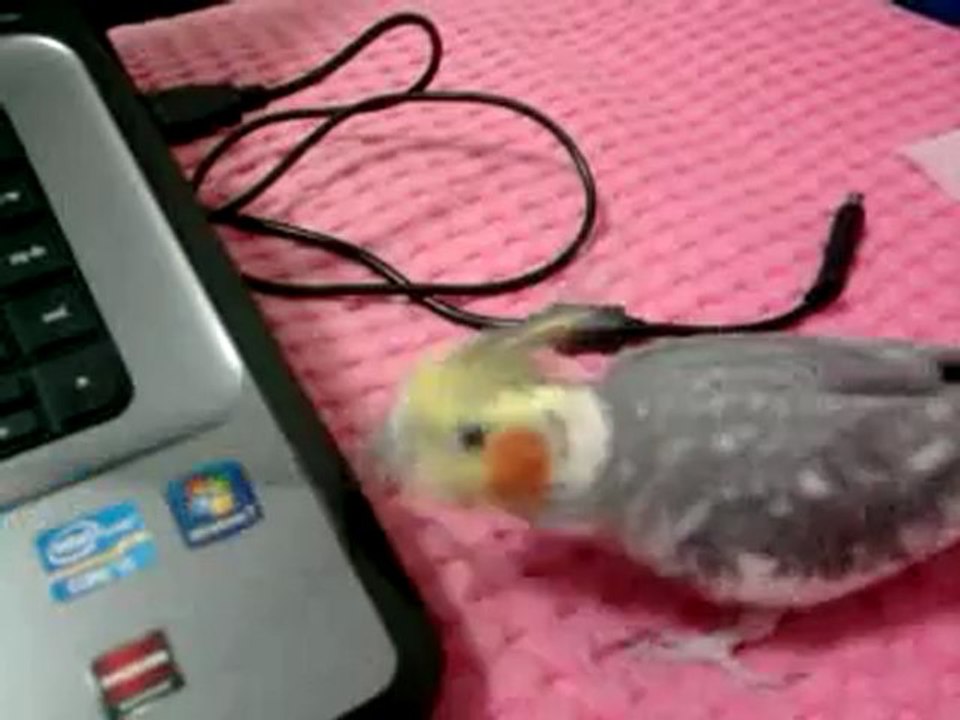 Video0009