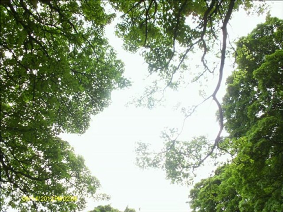 my movie 2012 p2