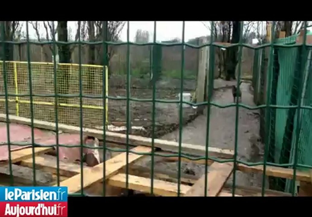 Descente dans un élevage clandestin de chiens