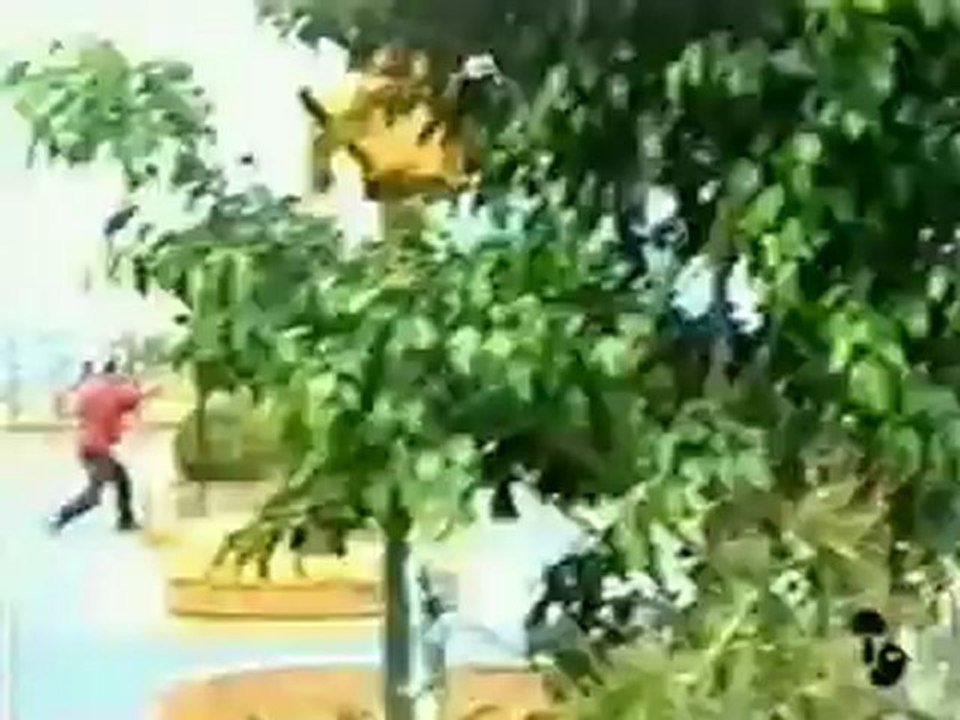 Argentinazo. Buenos Aires, diciembre 2001
