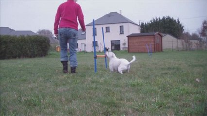 Eclipse lève les pattes 2013-01-04 slow motion