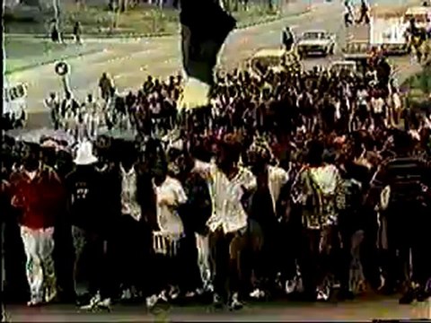 DIE TOTEN HOSEN - Pushed Again