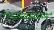 Harley Davidson Sportster Model 48 with Rizoma Aircleaner_(new)