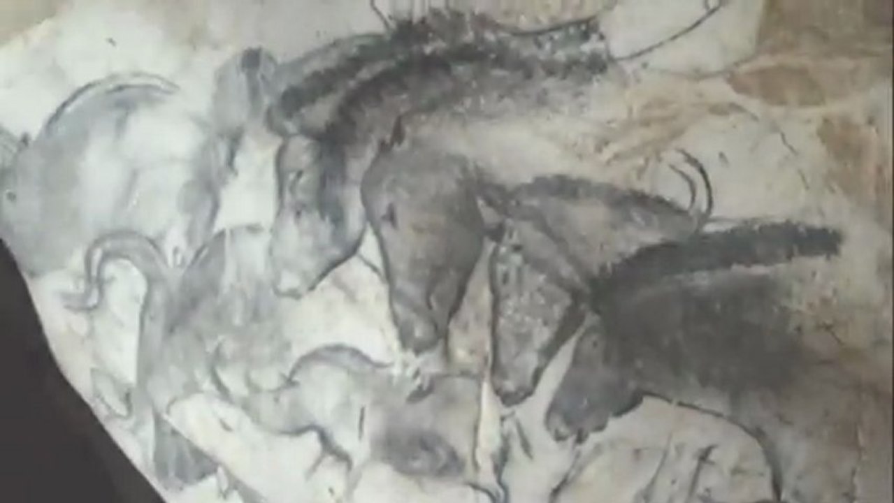 Cave of Forgotten Dreams 2010 JPN Trailer Werner Herzog