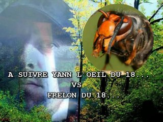 (partie 1) Yann présente : FRELON ASIATIQUE DANGER (2013)