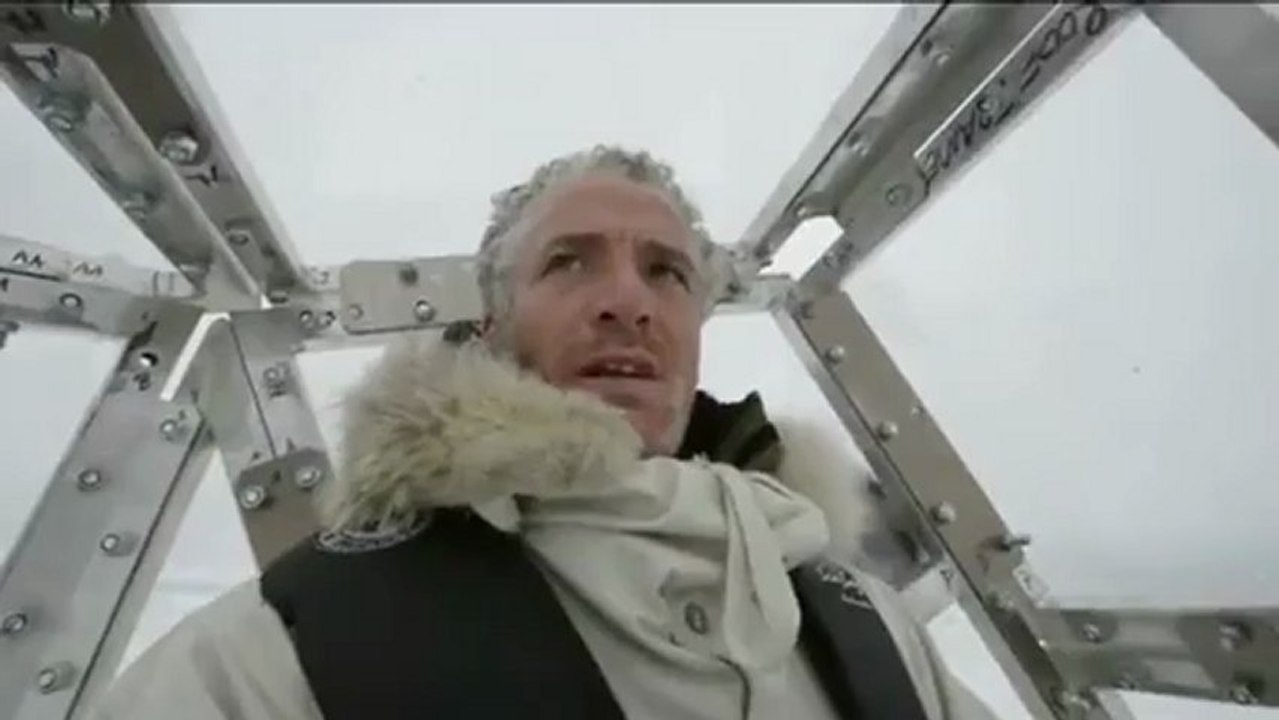 polar bear attacks