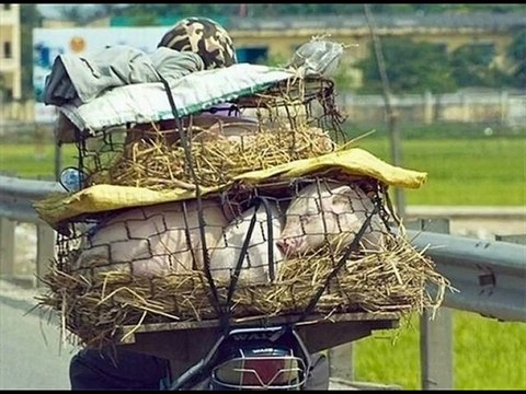 Вело, авто нарезка | Bicycles, cars cutting. Fhotoclip