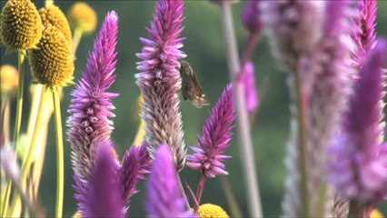 Mustafa Yıldız'dan muhteşem bir Kur'an ziyafeti daha...