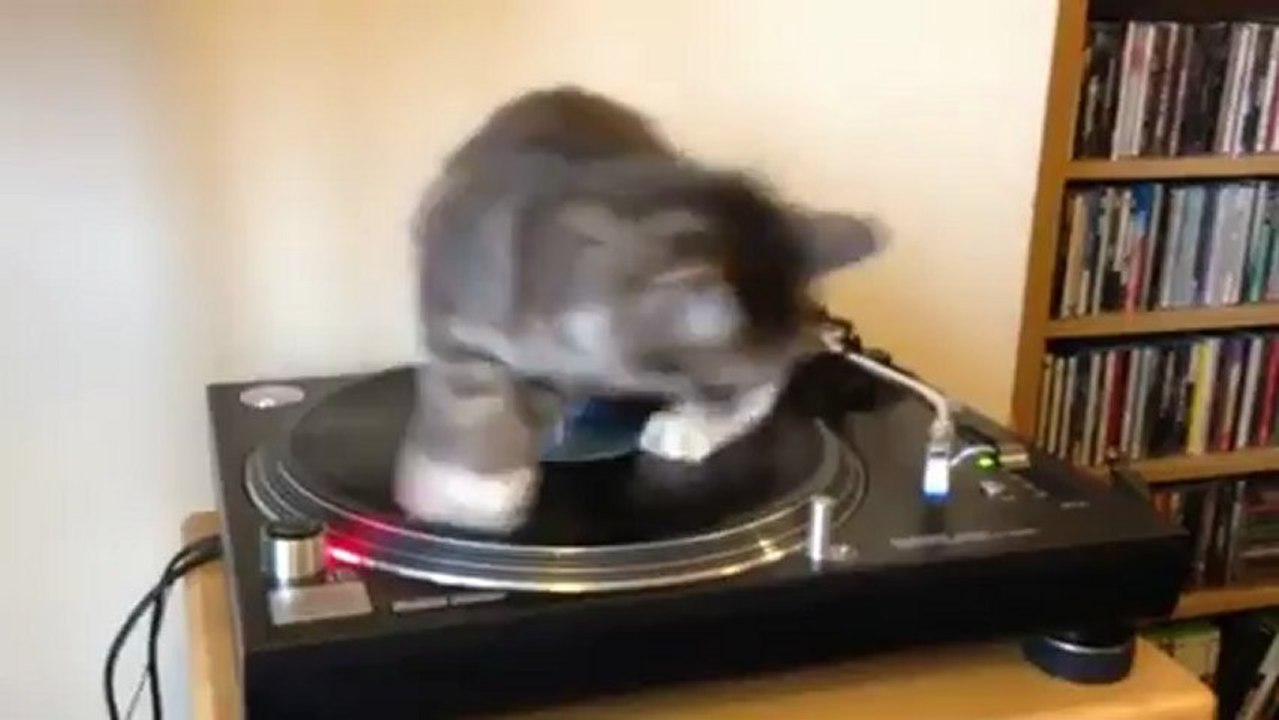 Chat DJ