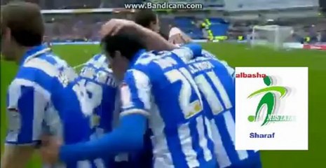 أهداف برايتون (العبد) 2_0 نيوكاسل يونايتد كأس الإتحاد 5_1_2013