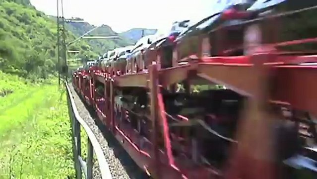 Züge bei Kestert am Rhein, DLC Class 66, ERS 189, 152, 101, 2x 185, 2x 143, 428