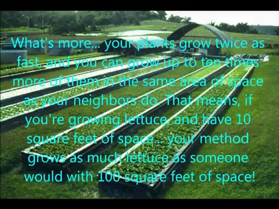 Aquaponics Greenhouse - Aquaponics for Profit