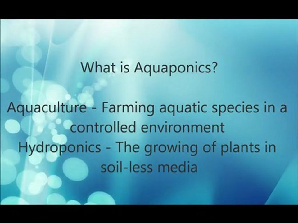 Backyard | Indoor Aquaponics