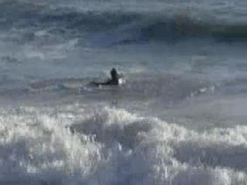 Video surf + Bodyboard Humanoide team