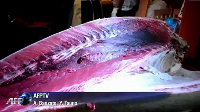 Atum gigante é arrematado por 1,8 milhão de dólares