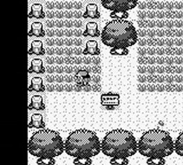 Walkthrough Pokemon version bleu (2): la forêt de Jade et Argenta