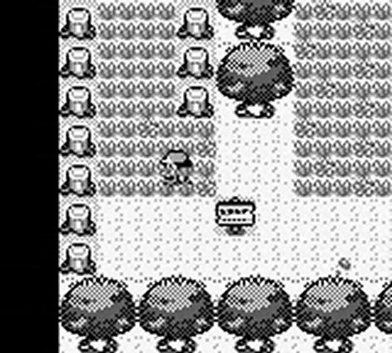 Walkthrough Pokemon version bleu (2): la forêt de Jade et Argenta