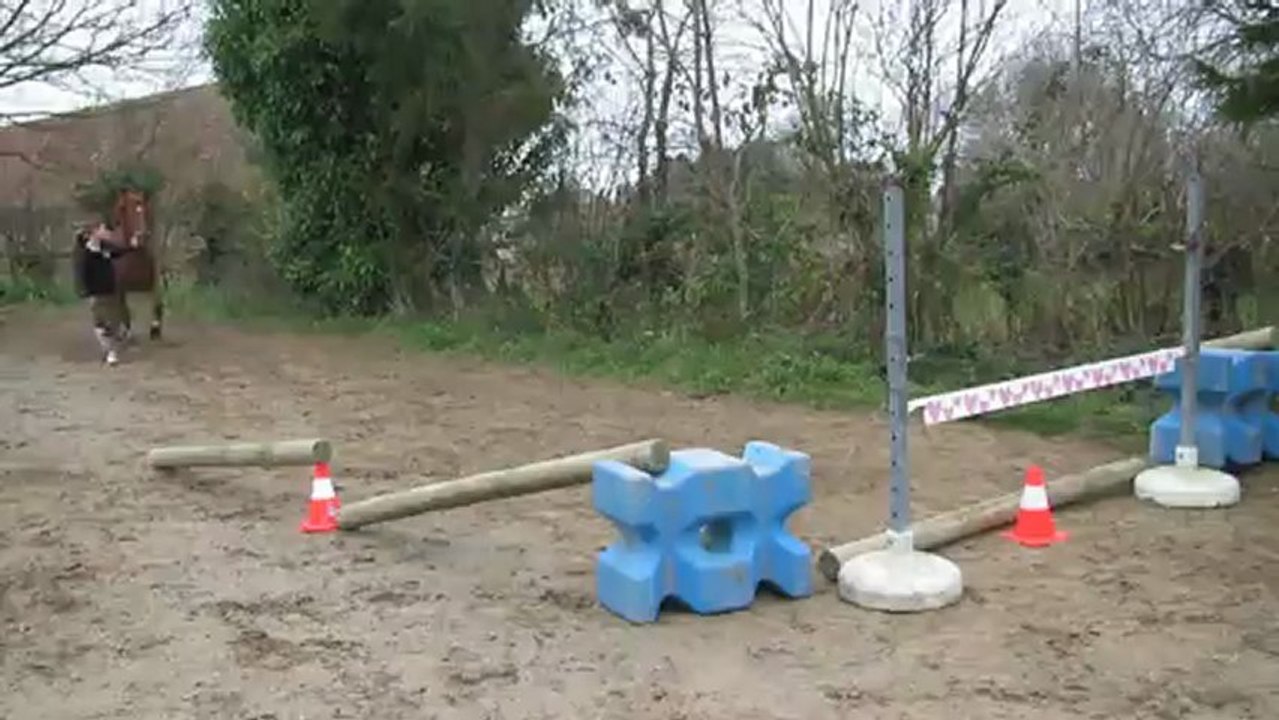 Blitz saut en libert