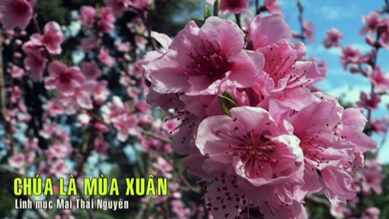 Chúa là mùa xuân