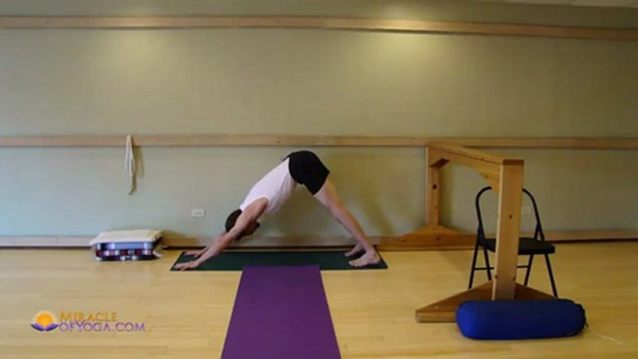 Dog Pose - Hands to Feet Distance