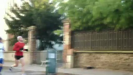 Corrida de colombes - édition 2012