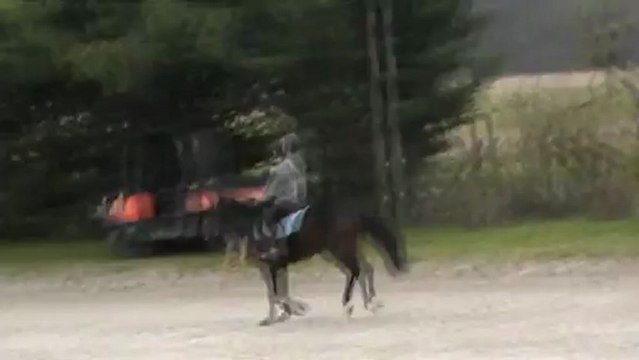 20130105 Sandillon ViceVersa