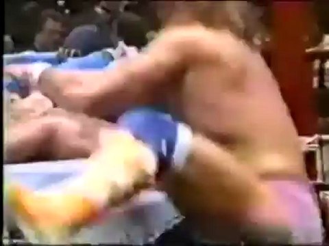 RANDY MACHO MAN SAVAGE VS HULK HOGAN