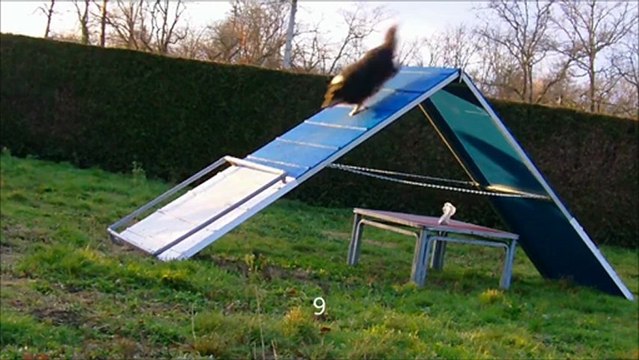 20130101 toit running partie 13 virgule