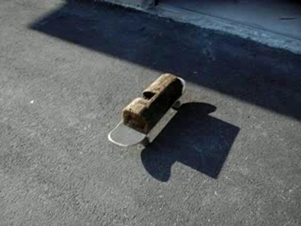 petit ollie by tristan