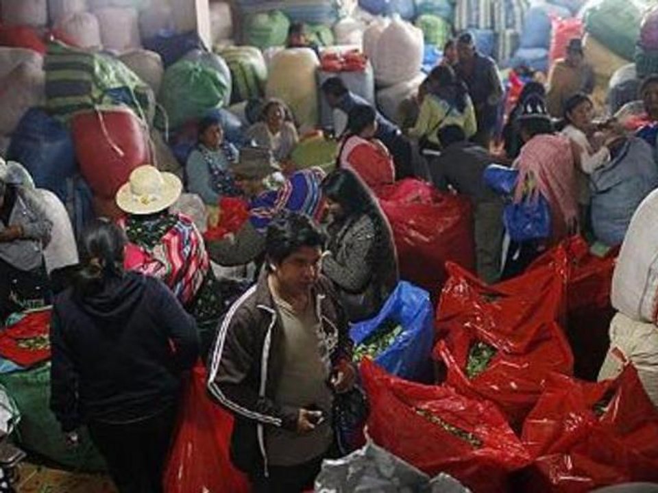 Inside Story Americas - Has Bolivia's coca-growing scheme worked?