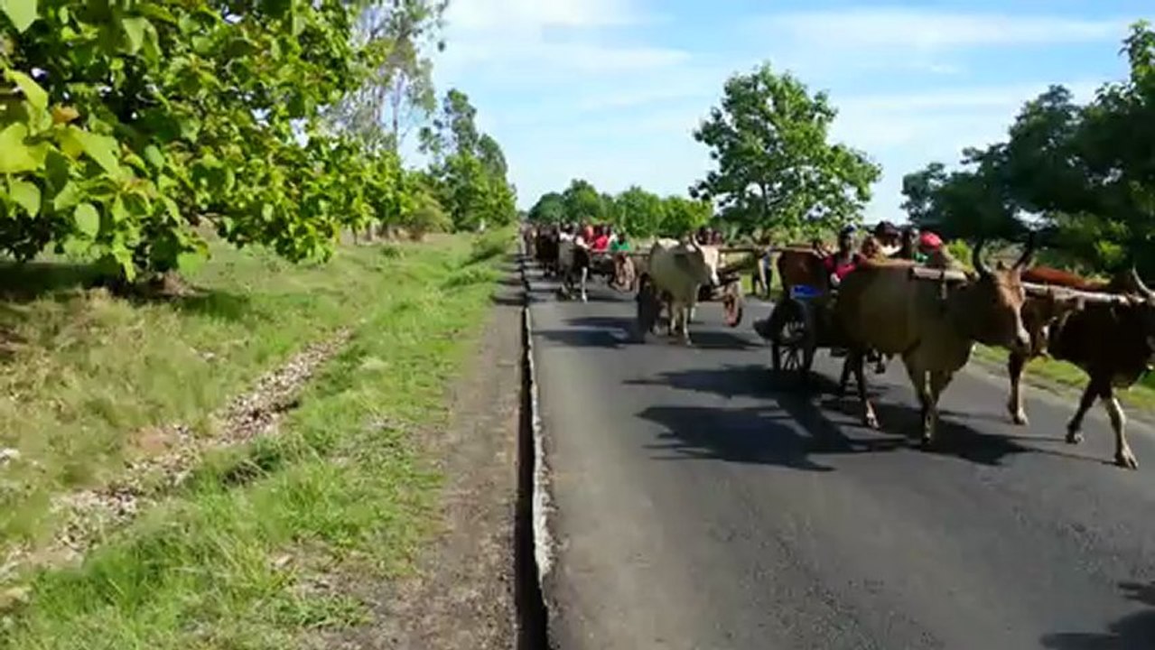 procession dun mariage malgache