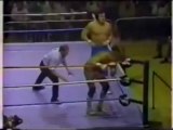 Randy Savage vs Honky Tonk Man