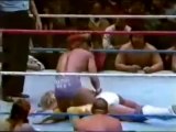 Randy Savage vs hulk hogan in lumberjack match