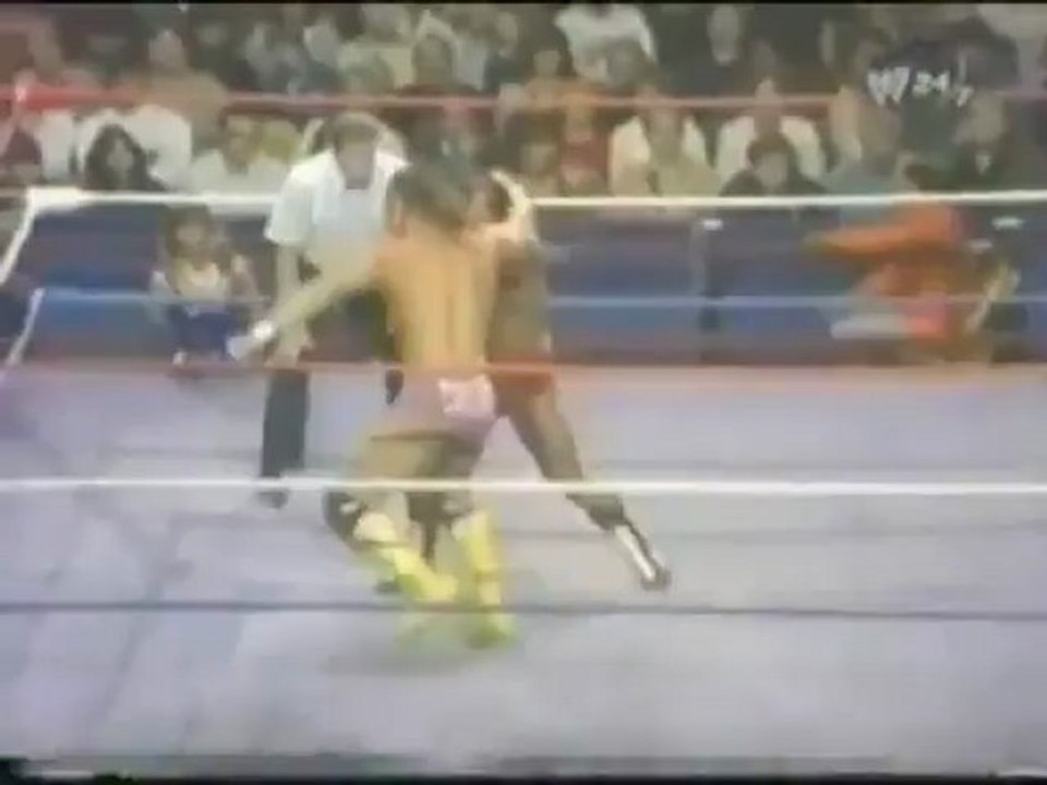 randy savage vs ivan putski