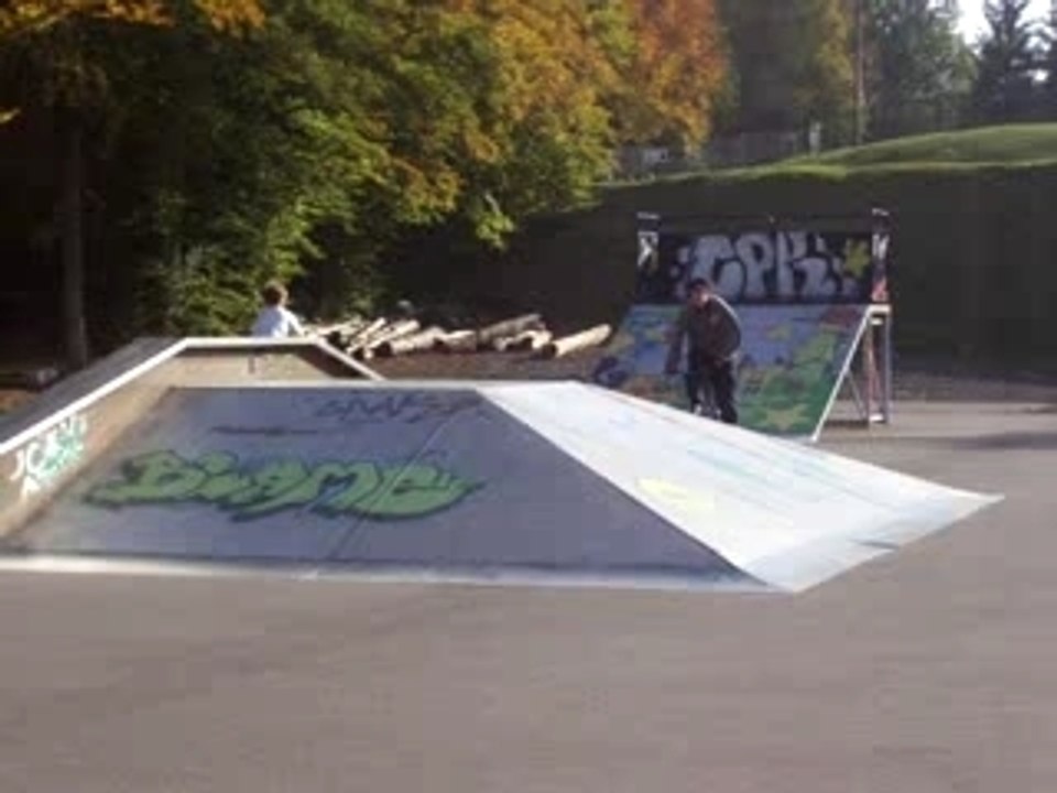 carroz 018