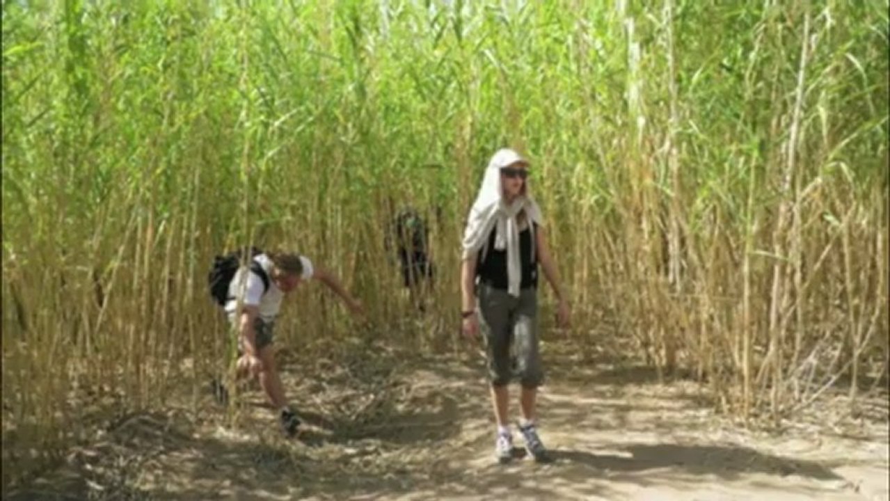 TAMOUNTE  novembre 2012 ZAOUIT SIDI AHMED MAROC LES BOULETS